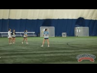 Preview Video #1
