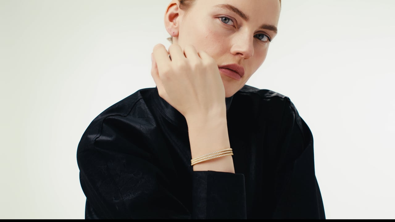 Ana Luisa Campaign Feb 2025