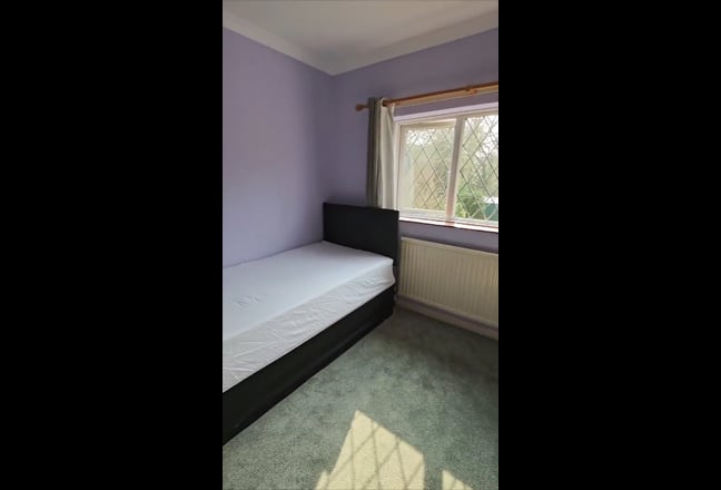 Good size single bedroom  Main Photo