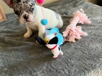 Watch me play!