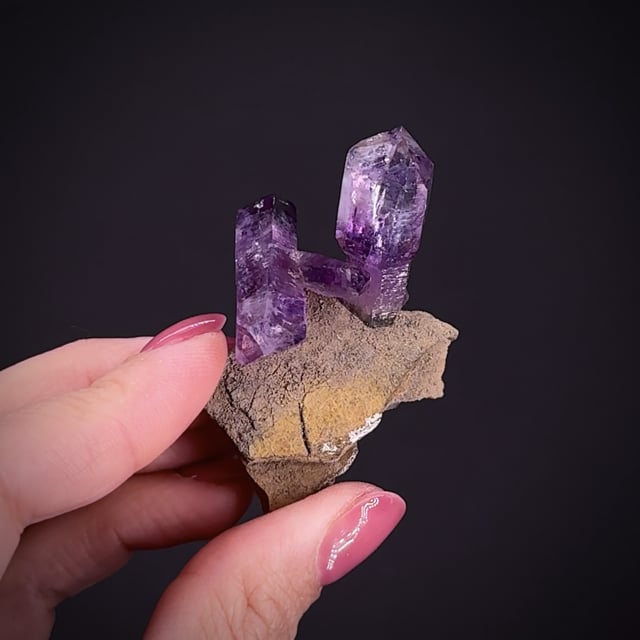 Quartz var. Amethyst and Scepter Amethyst