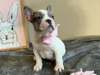 Watch me play!