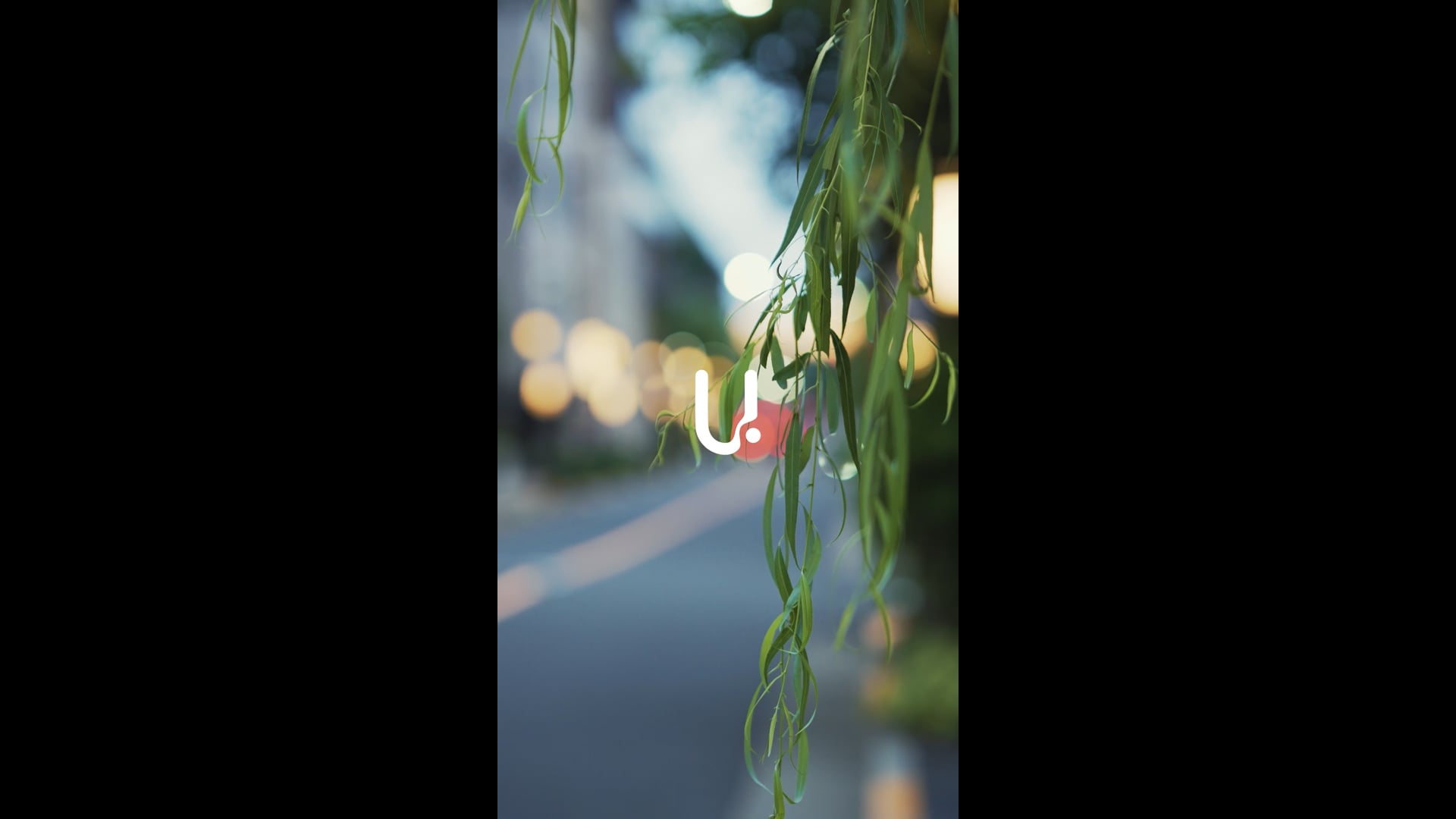 240708_KIZEN_Asakusa