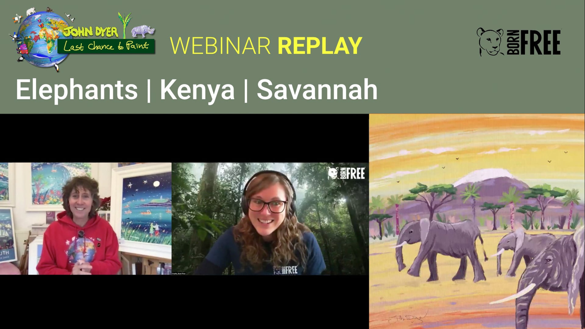 Paint & learn all about Elephants in the African Savannah