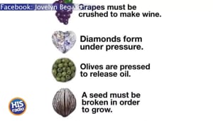Hardships Produce Growth