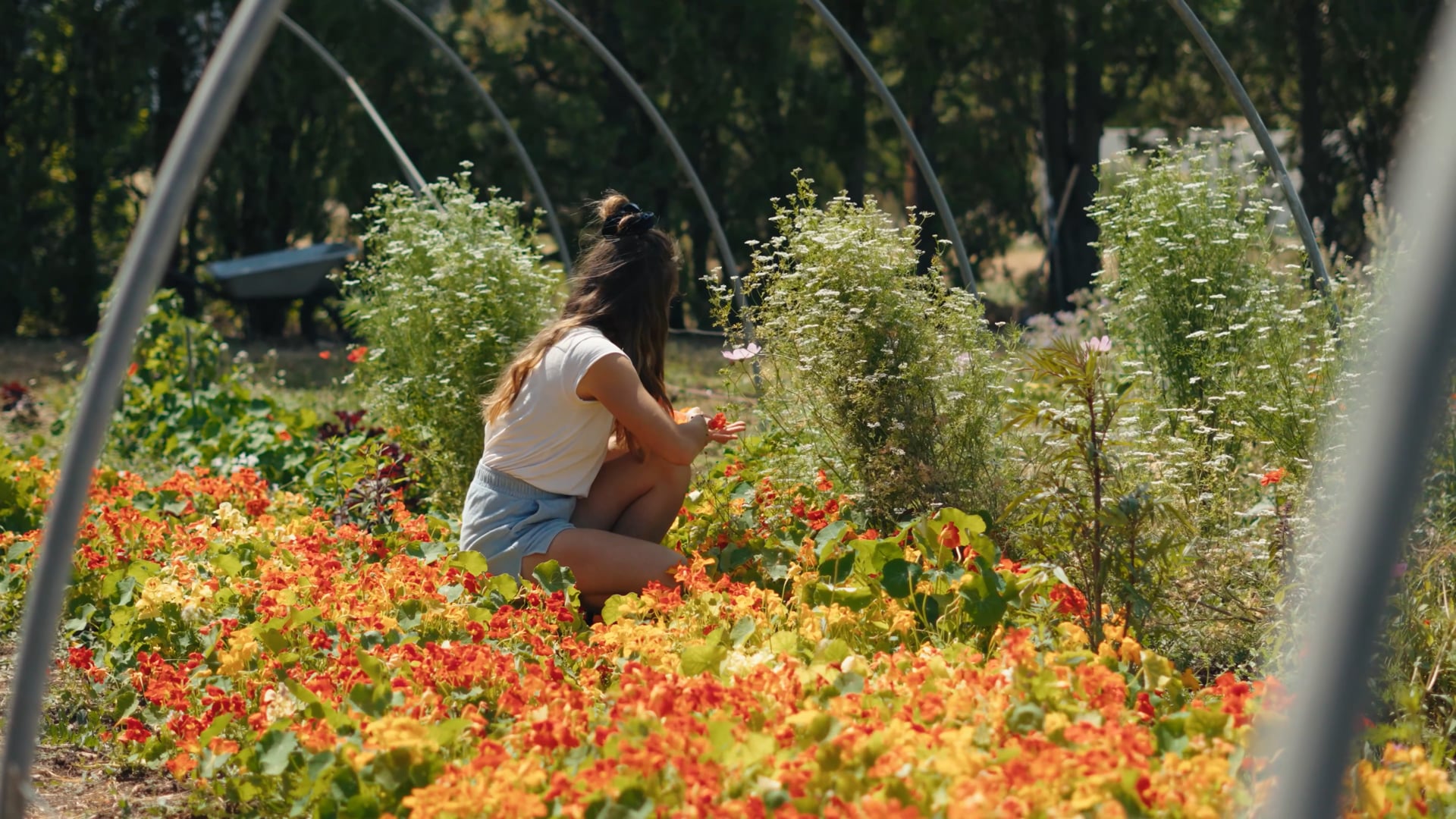 Comestible Atelier // La passion des plantes