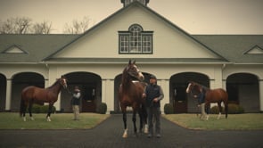 Into Mischief, The Derby Sire | 2025 Contenders V1