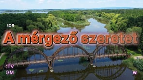 A mérgező szeretet
