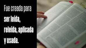 Semana 1, Interactuando con las Escrituras: Lee | Pastor David Chan