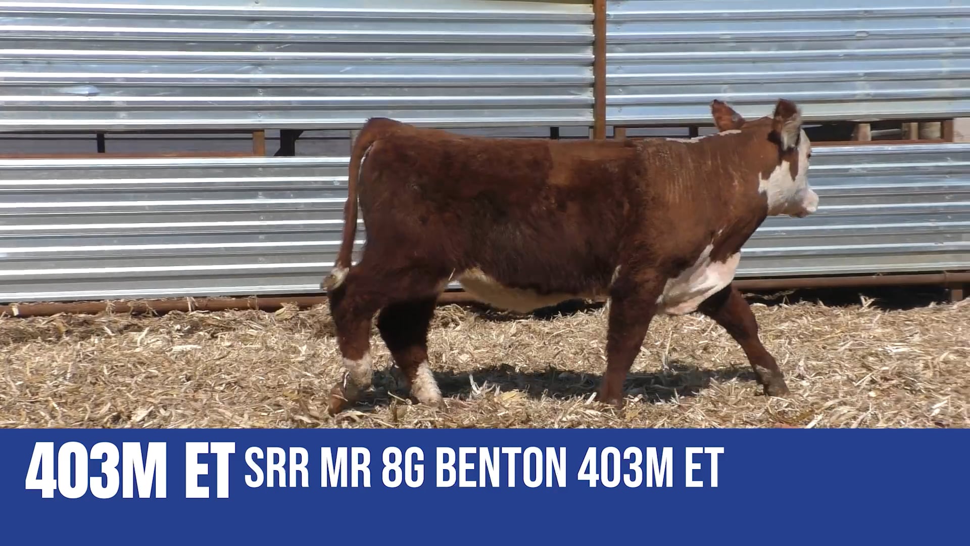 403M ET  SRR MR 8G BENTON 403M ET