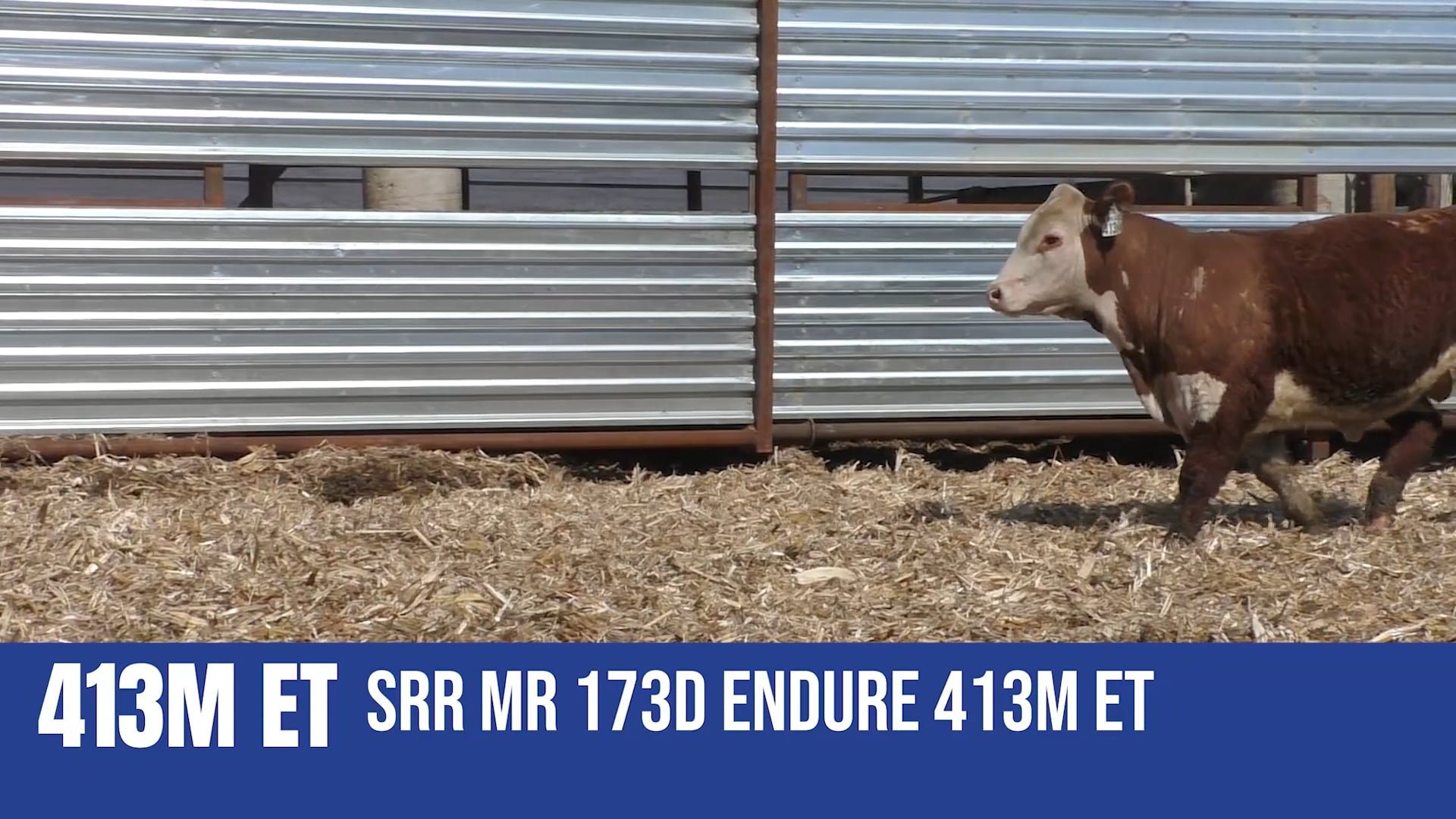 413M ET SRR MR 1730 ENDURE 413M ET