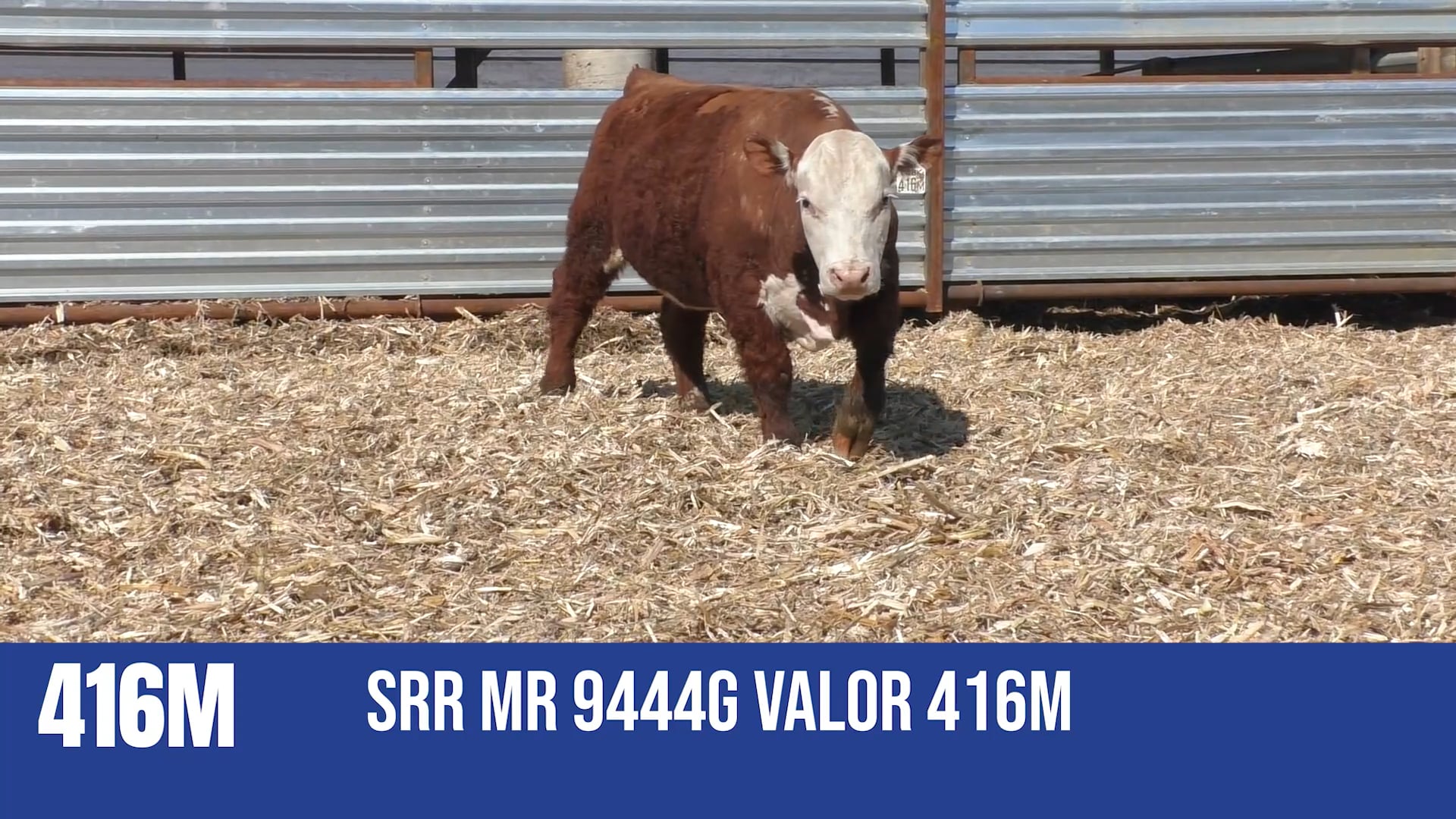 416M SRR MR 9444G VALOR 416M