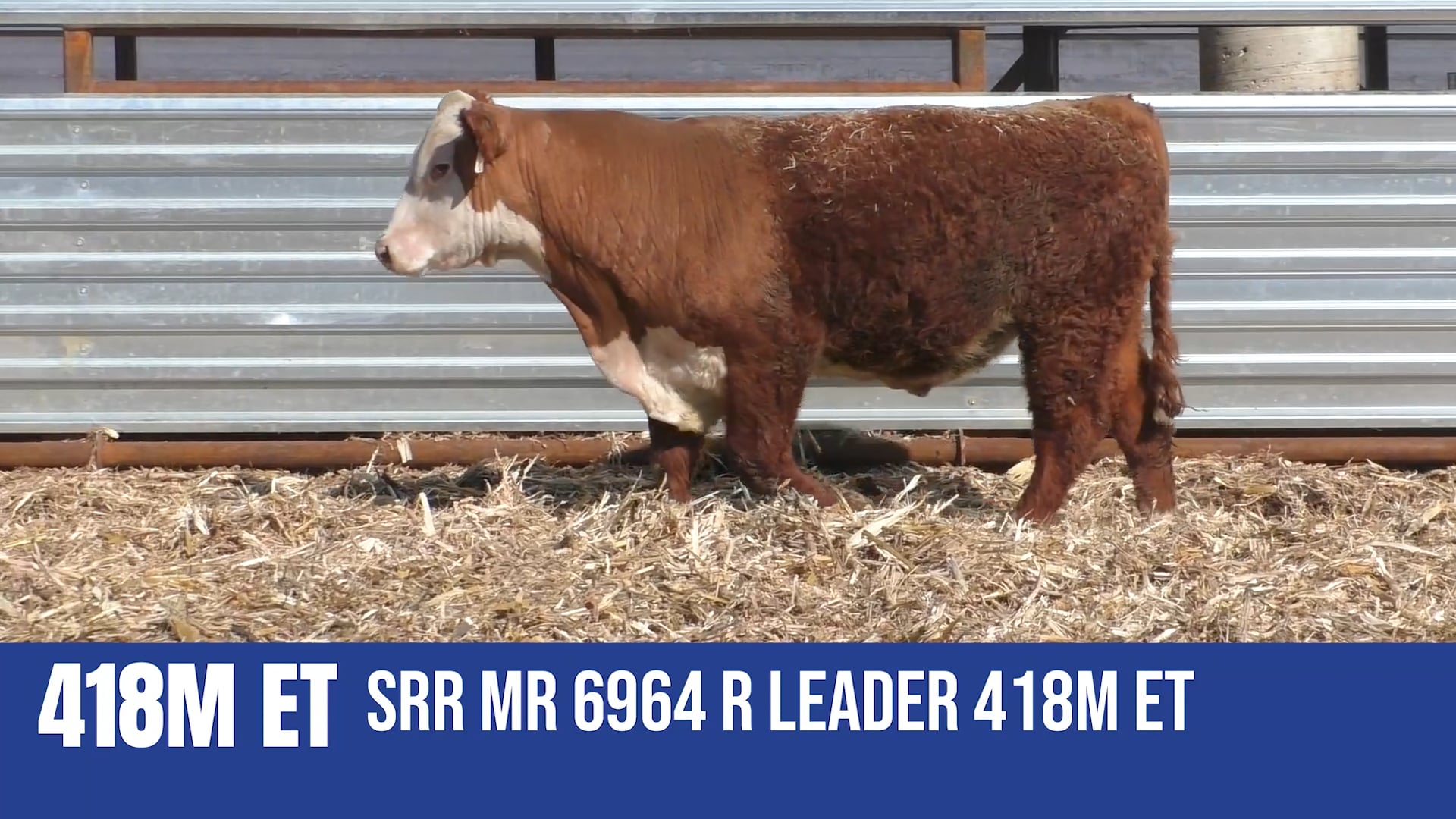 418M ET  SRR MR 6964 R LEADER 418M ET