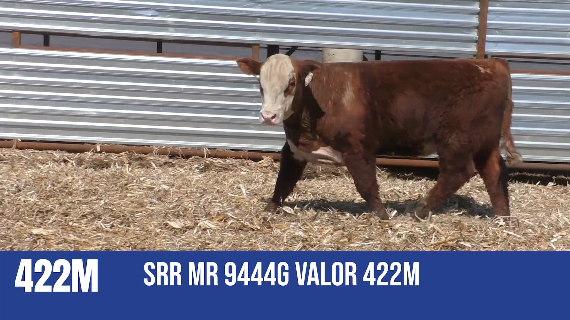 422M  SRR MR 94446 VALOR 422M