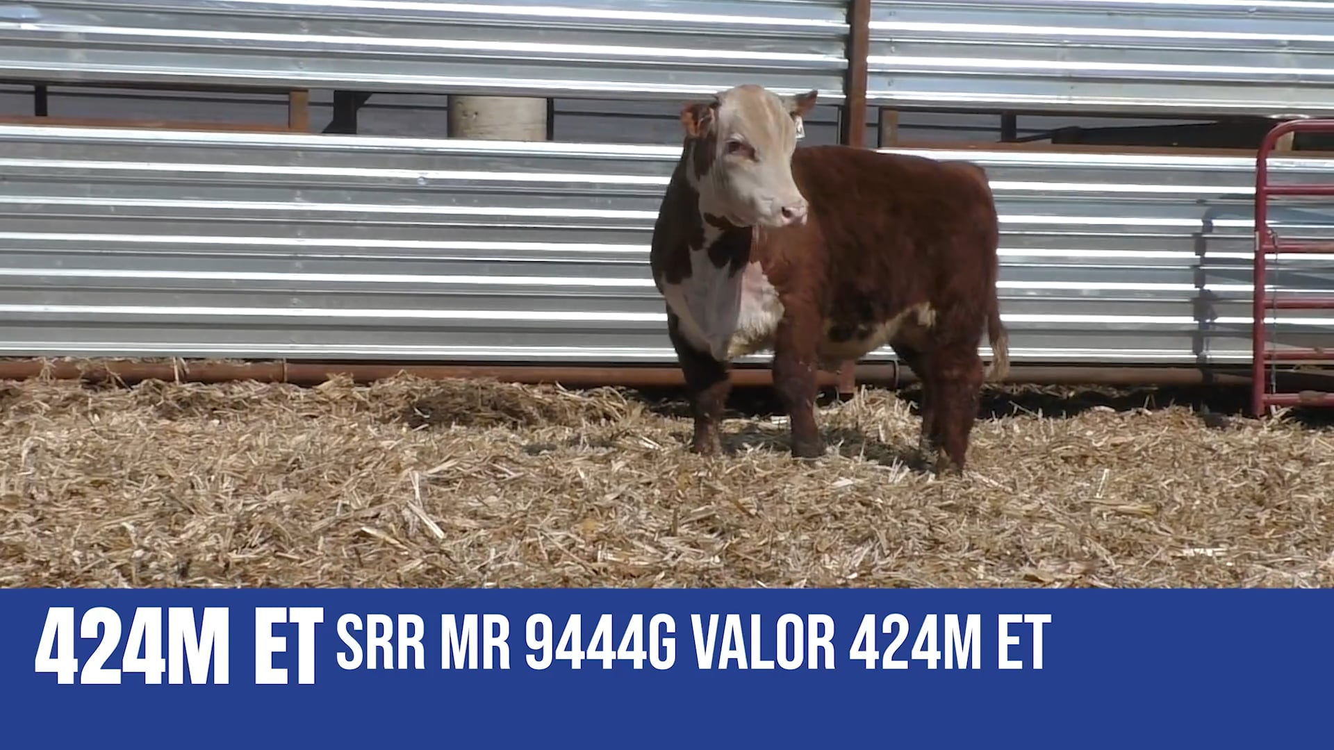 424M ET  SRR MR 94446 VALOR 424M ET