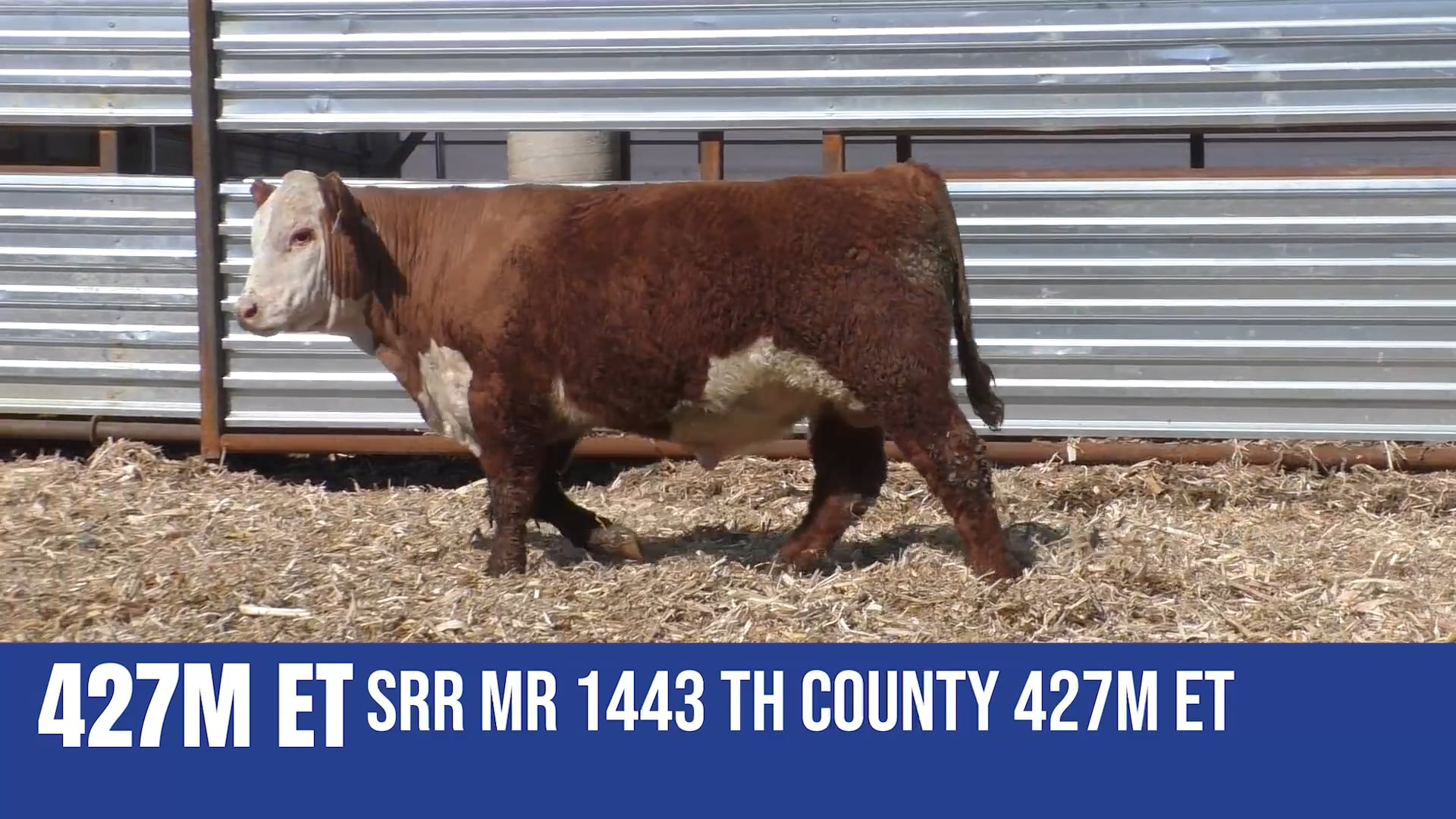 427M ET  SRR MR 1443 TH COUNTY 427M ET