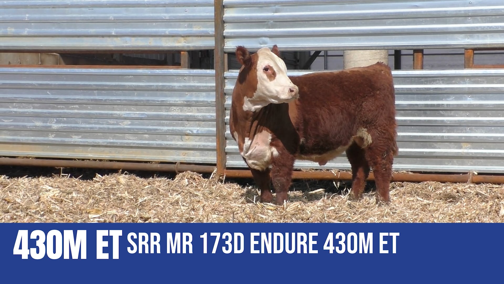 430M ET  SRR MR 173D ENDURE 430M ET