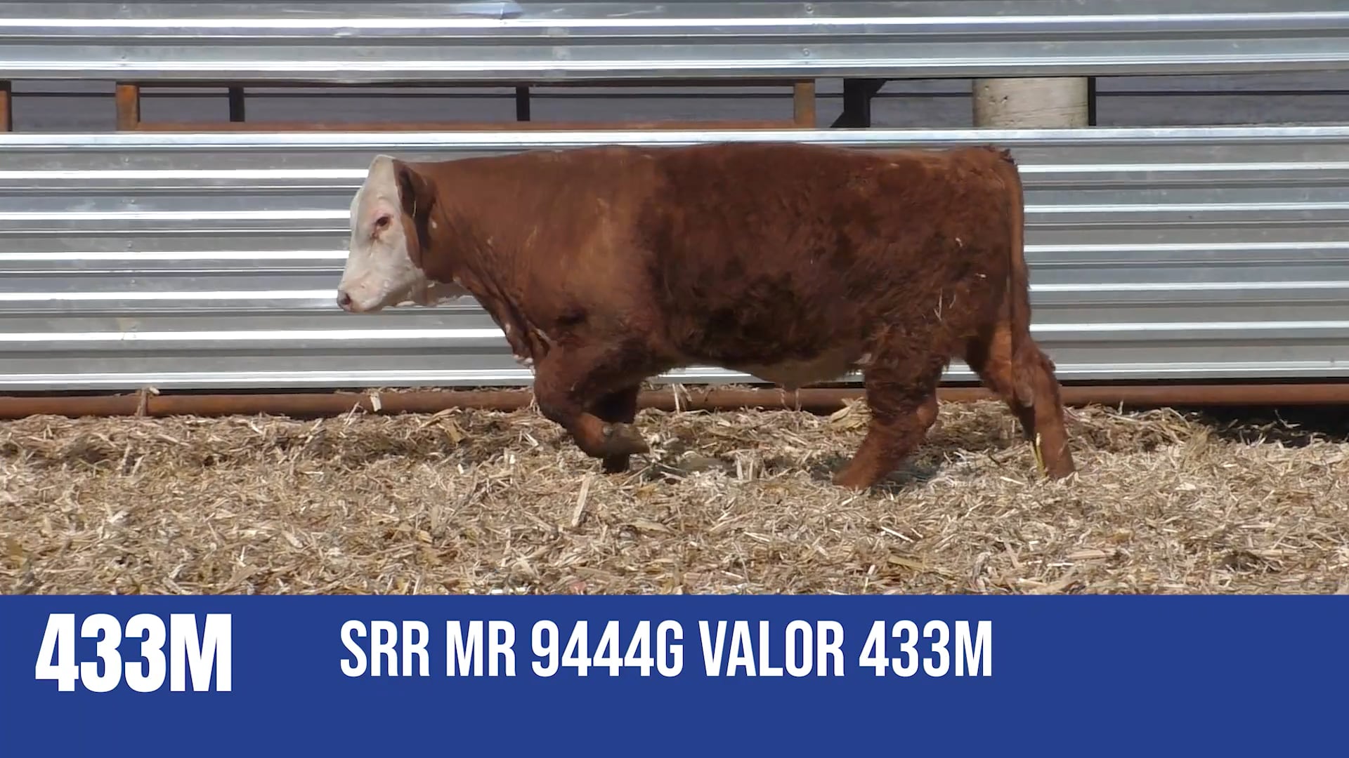 433M  SRR MR 9444G VALOR 433M