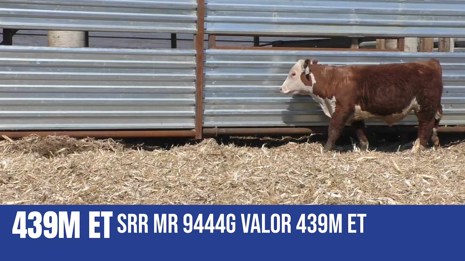 439M ET SRR MR 94446 VALOR 439M ET