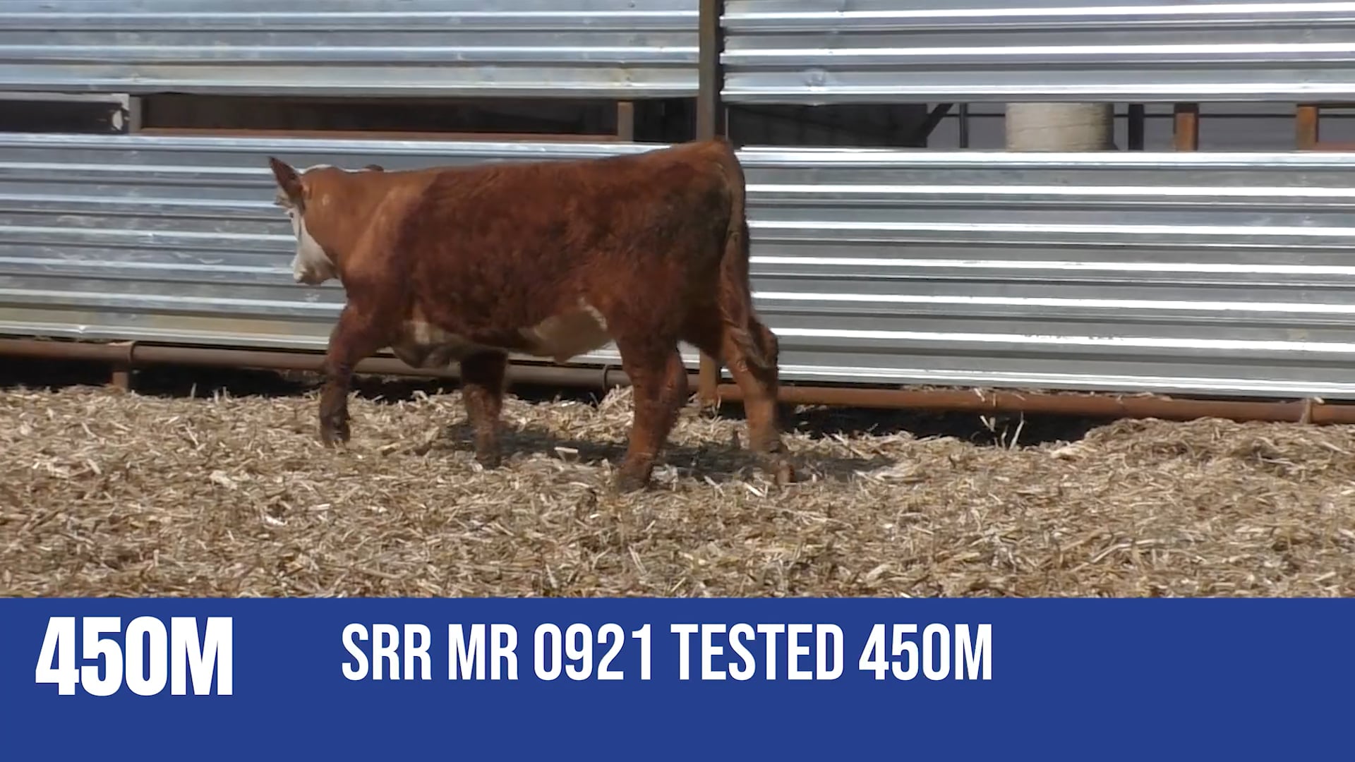 450M  SRR MR 0921 TESTED 450M