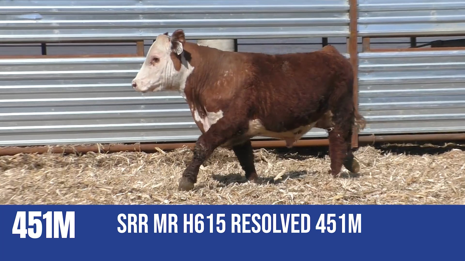 451M SRR MR H615 RESOLVED 451M