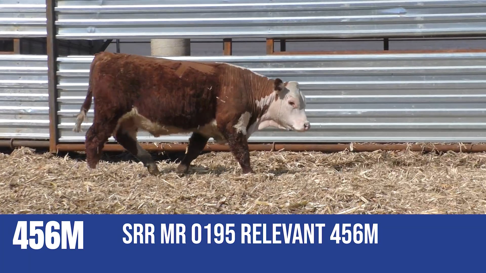 456M  SRR MR 0195 RELEVANT 456M