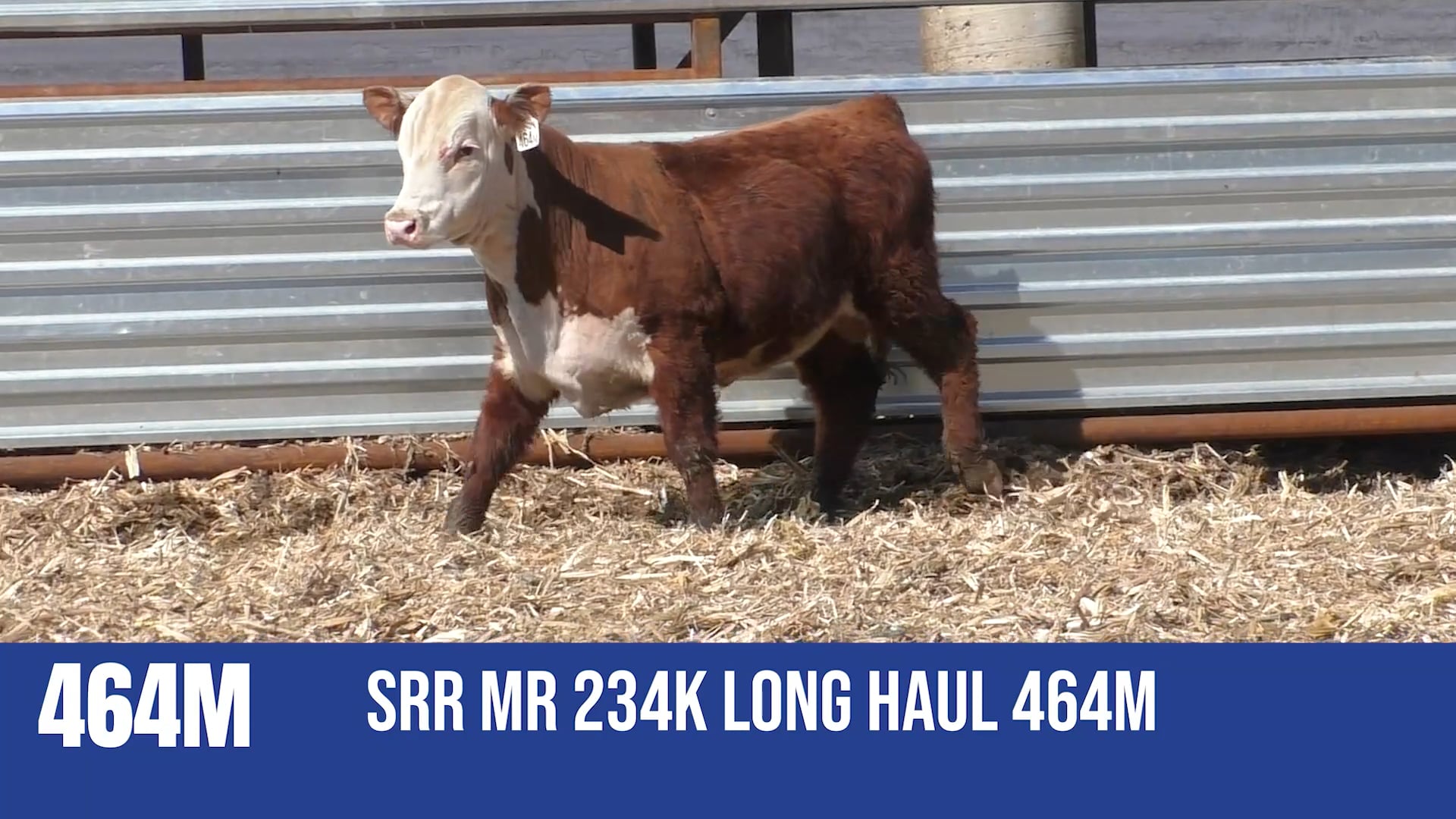 464M  SRR MR 234K LONG HAUL 464M