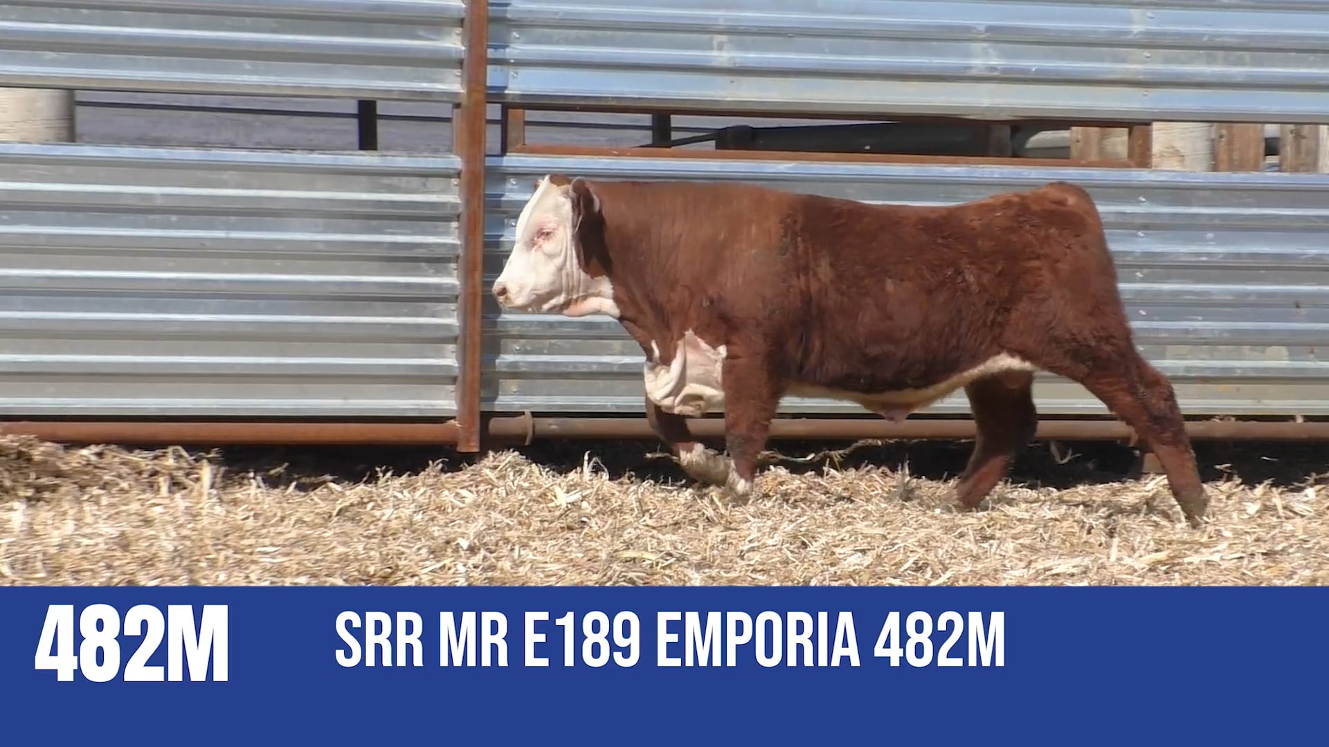 482M SRR MR E189 EMPORIA 482M