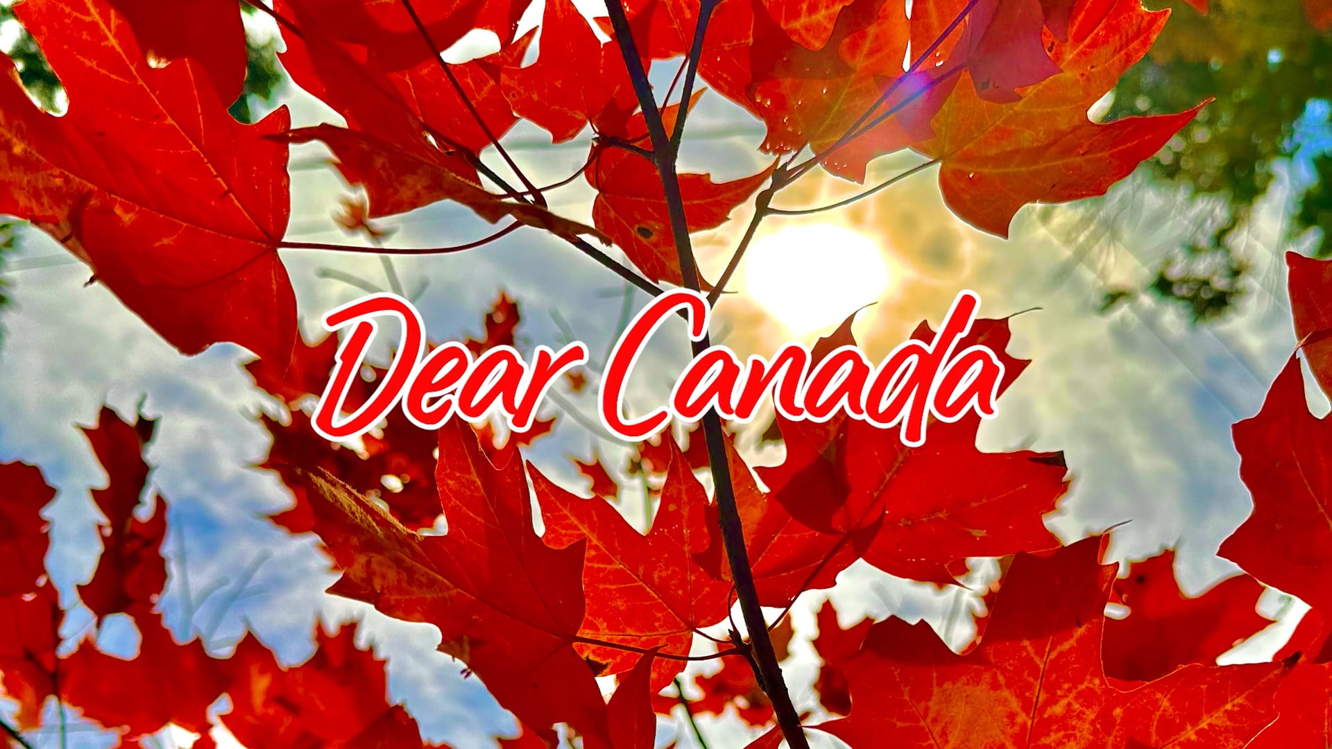 Dear Canada... | Videos & Movies on Vimeo