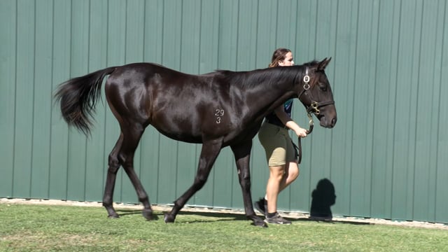 Lot 68