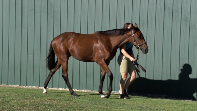 Lot 22