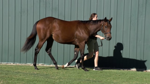 Lot 63