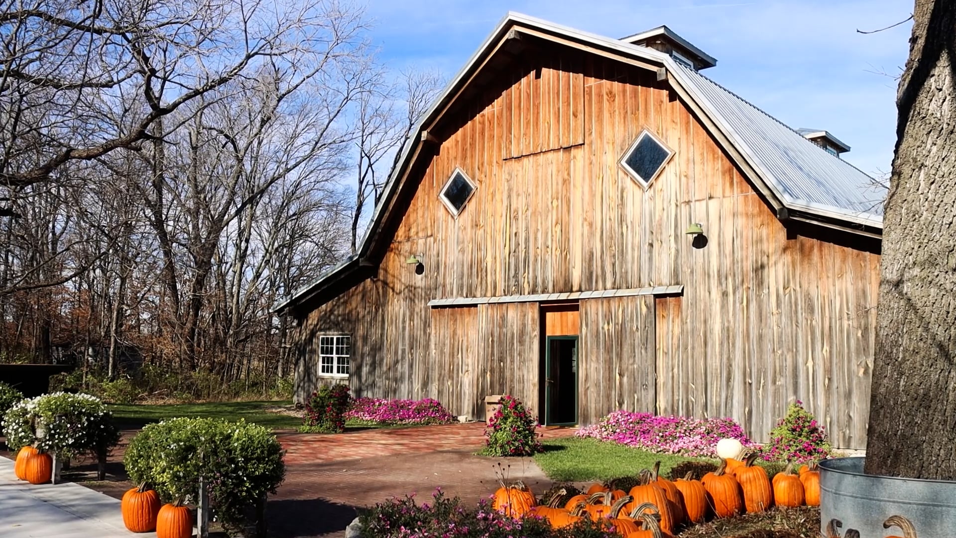 Jaycee & Boyd Trailer