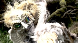 Related Embedded Video Item Thumbnail