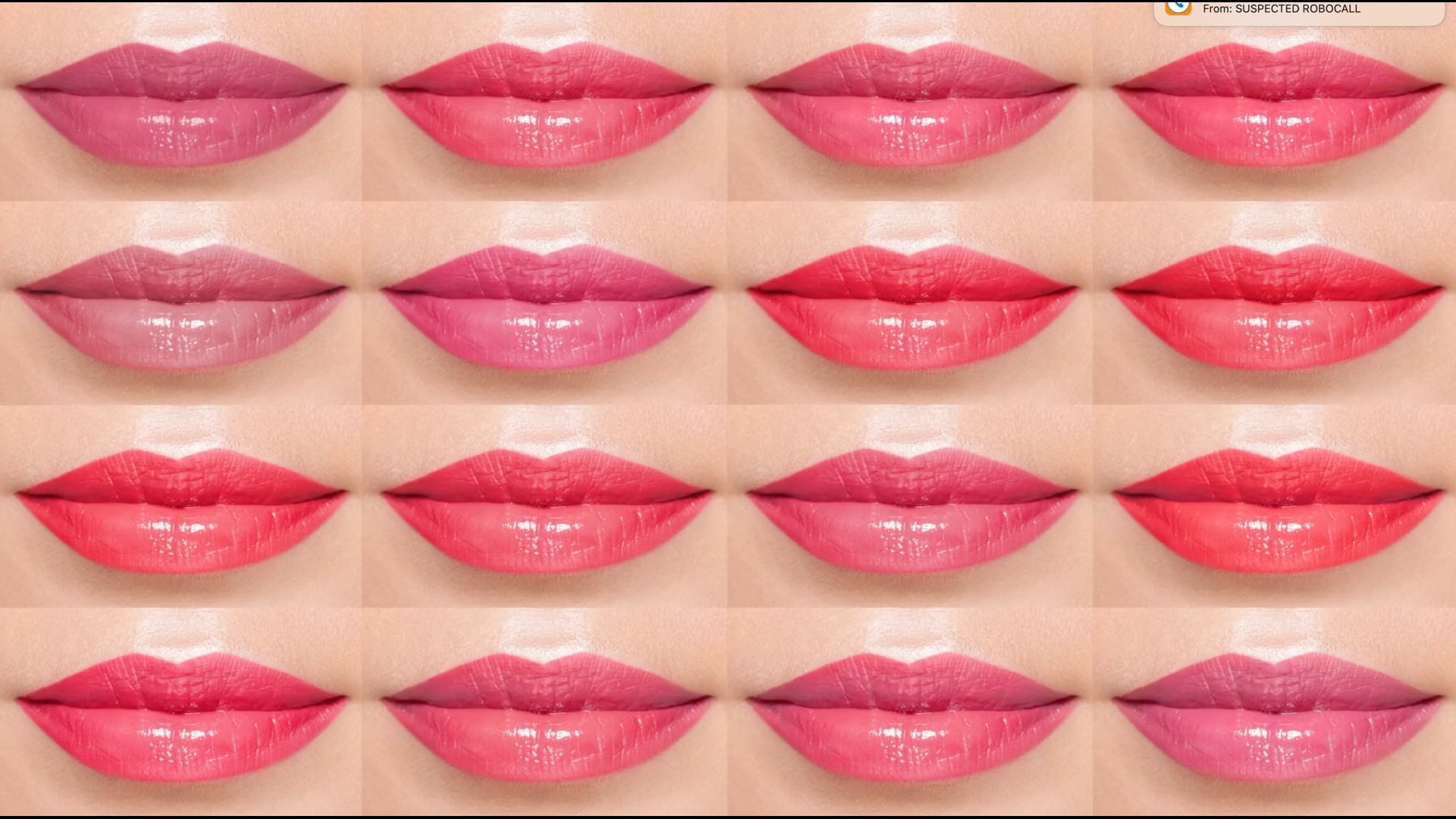 SHISEIDO PR Sizzle