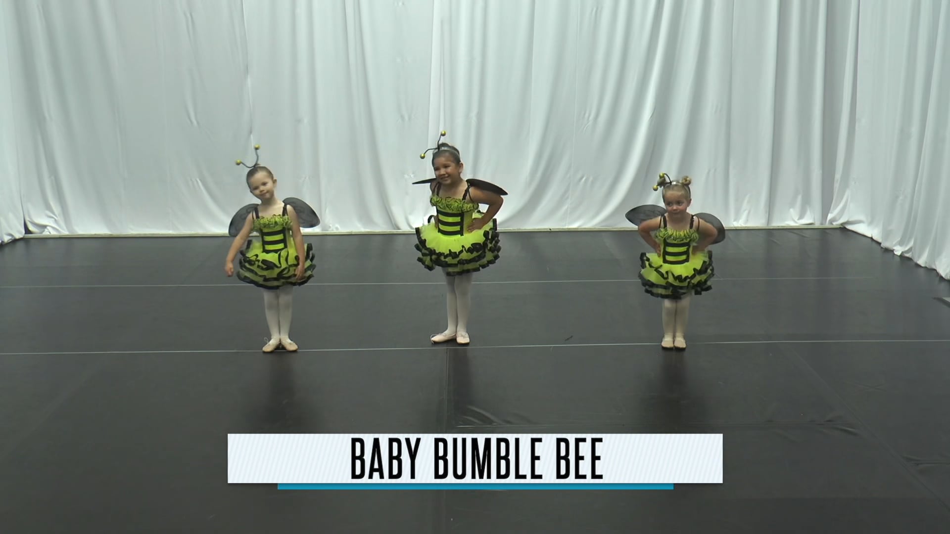 Baby Bumble Bee