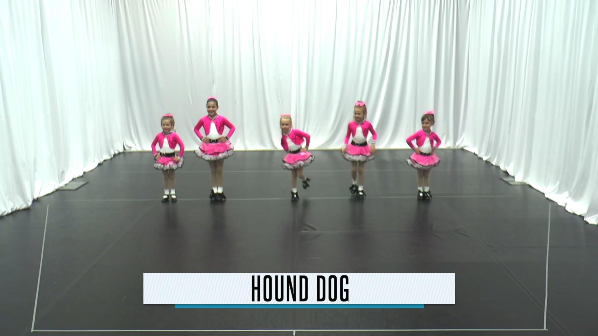 Hound Dog