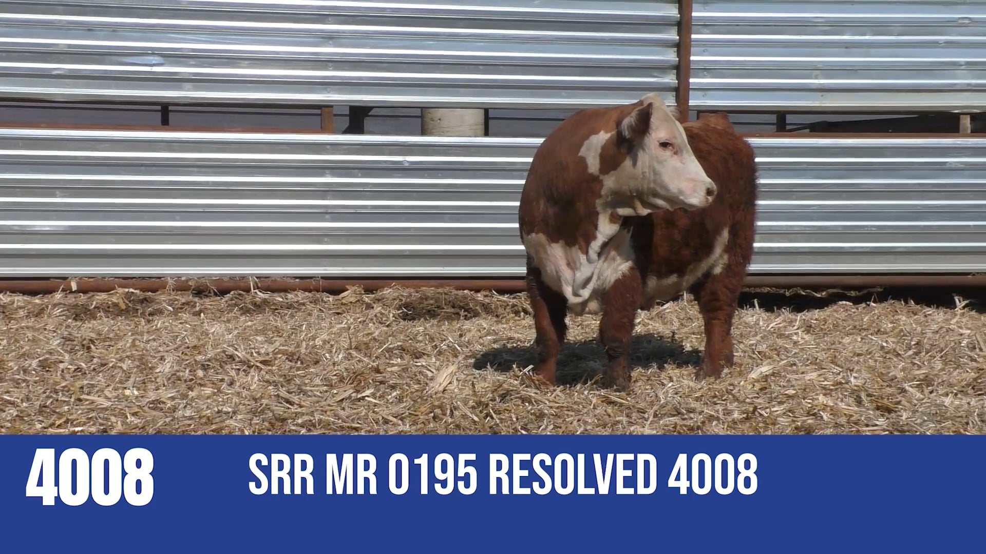 4008M  SRR MR 0195 RESOLVED 4008