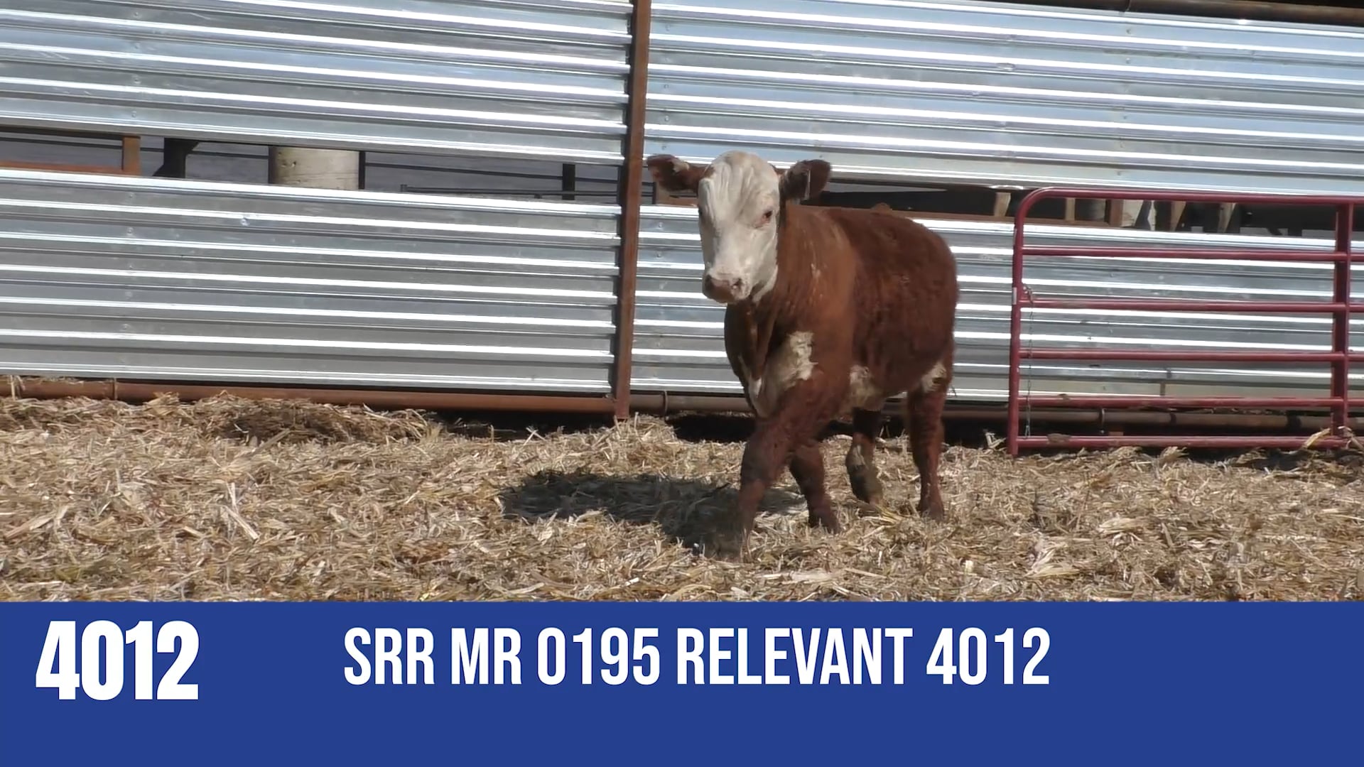 4012M  SRR MR 0195 RELEVANT 4012