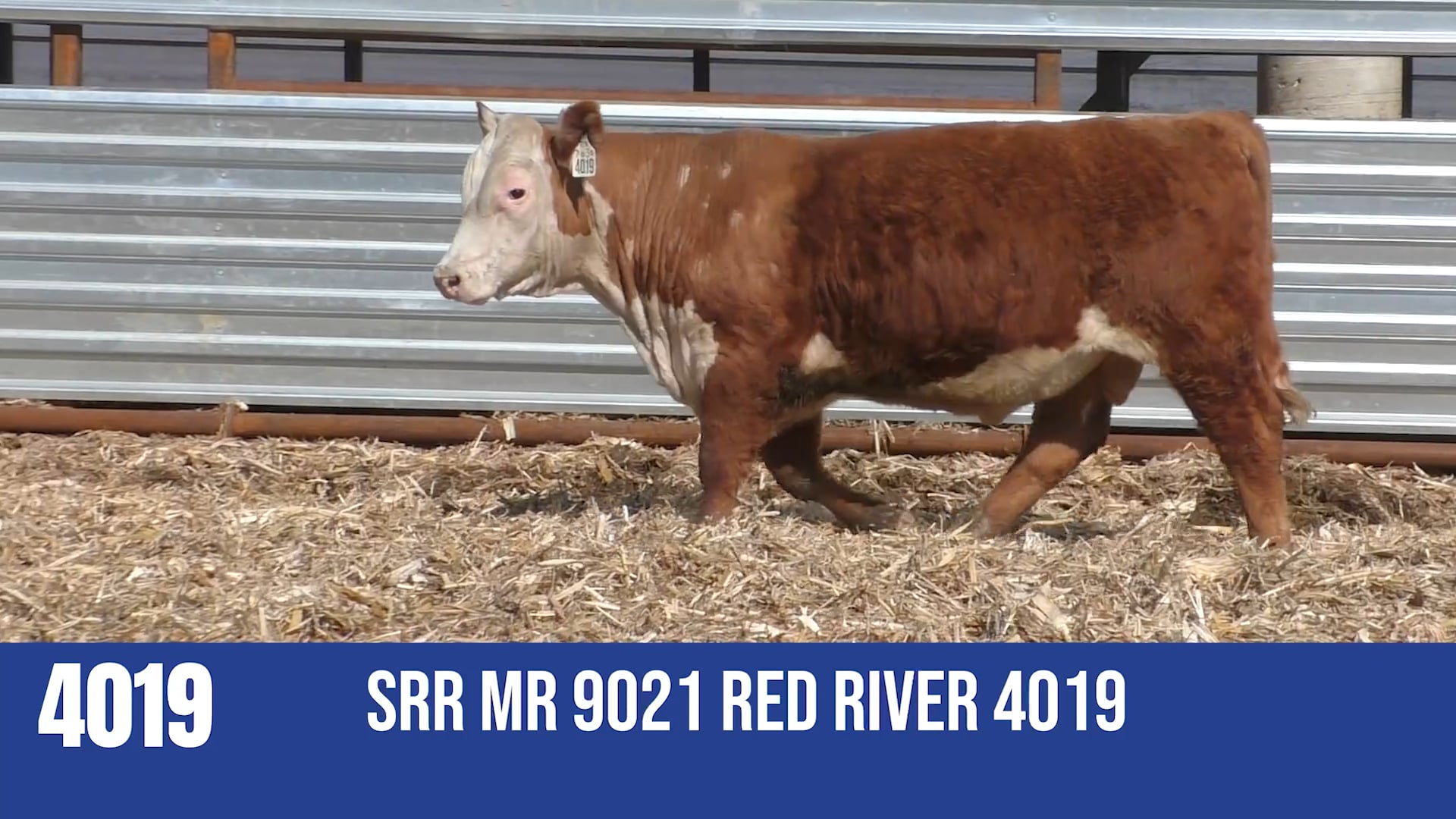 4019M  SRR MR 9021 RED RIVER 4019