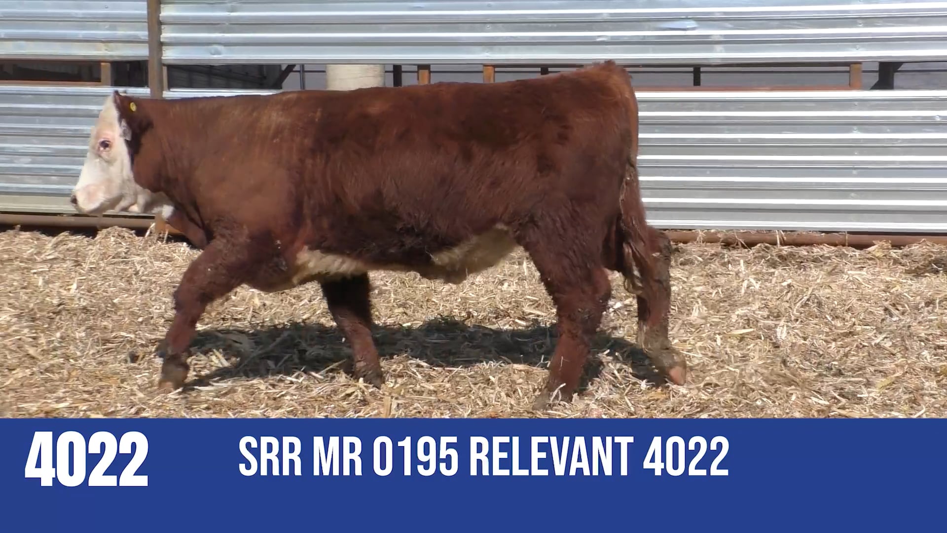 4022M  SRR MR 0195 RELEVANT 4022