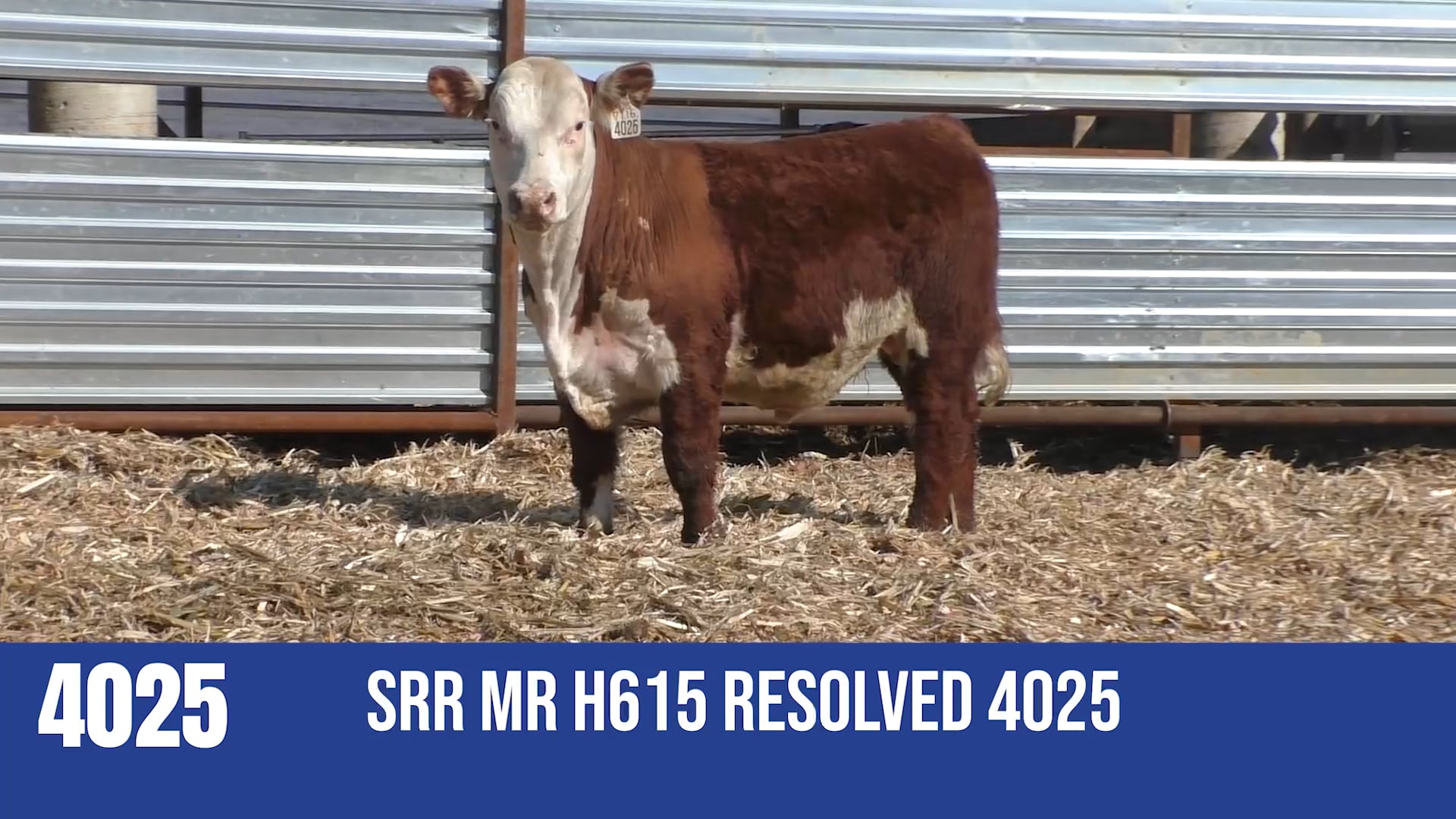 4025M  SRR MR H615 RESOLVED 4025