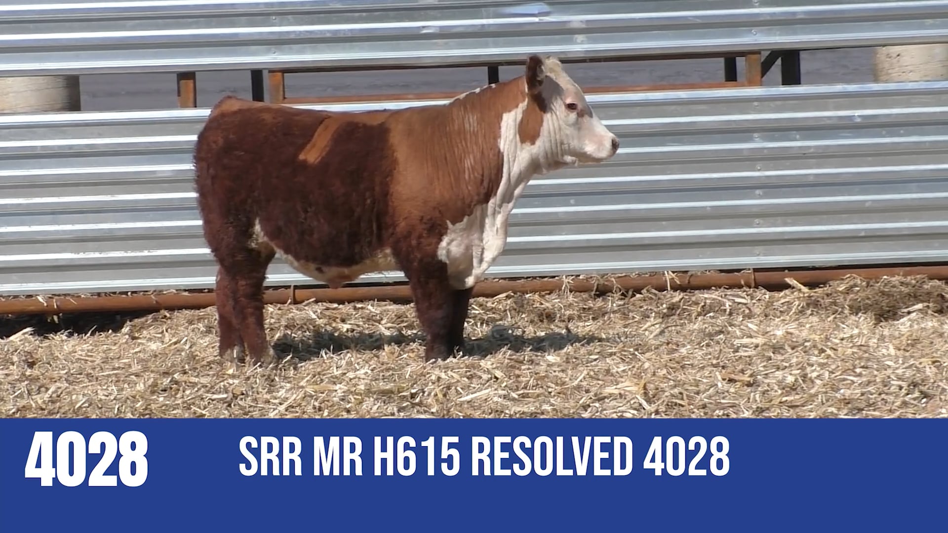 4028M  SRR MR H615 RESOLVED 4028