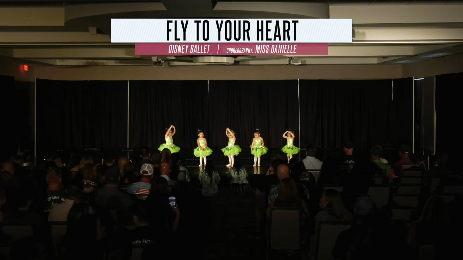 Fly to Your Heart