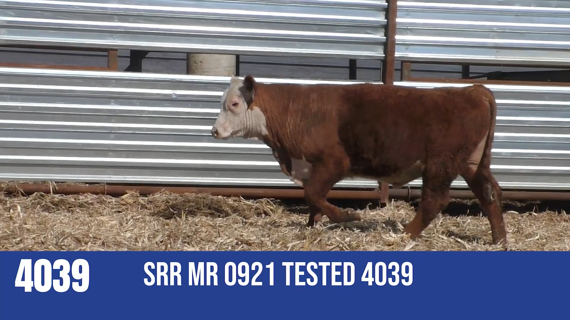 4039M  SRR MR 0921 TESTED 4039