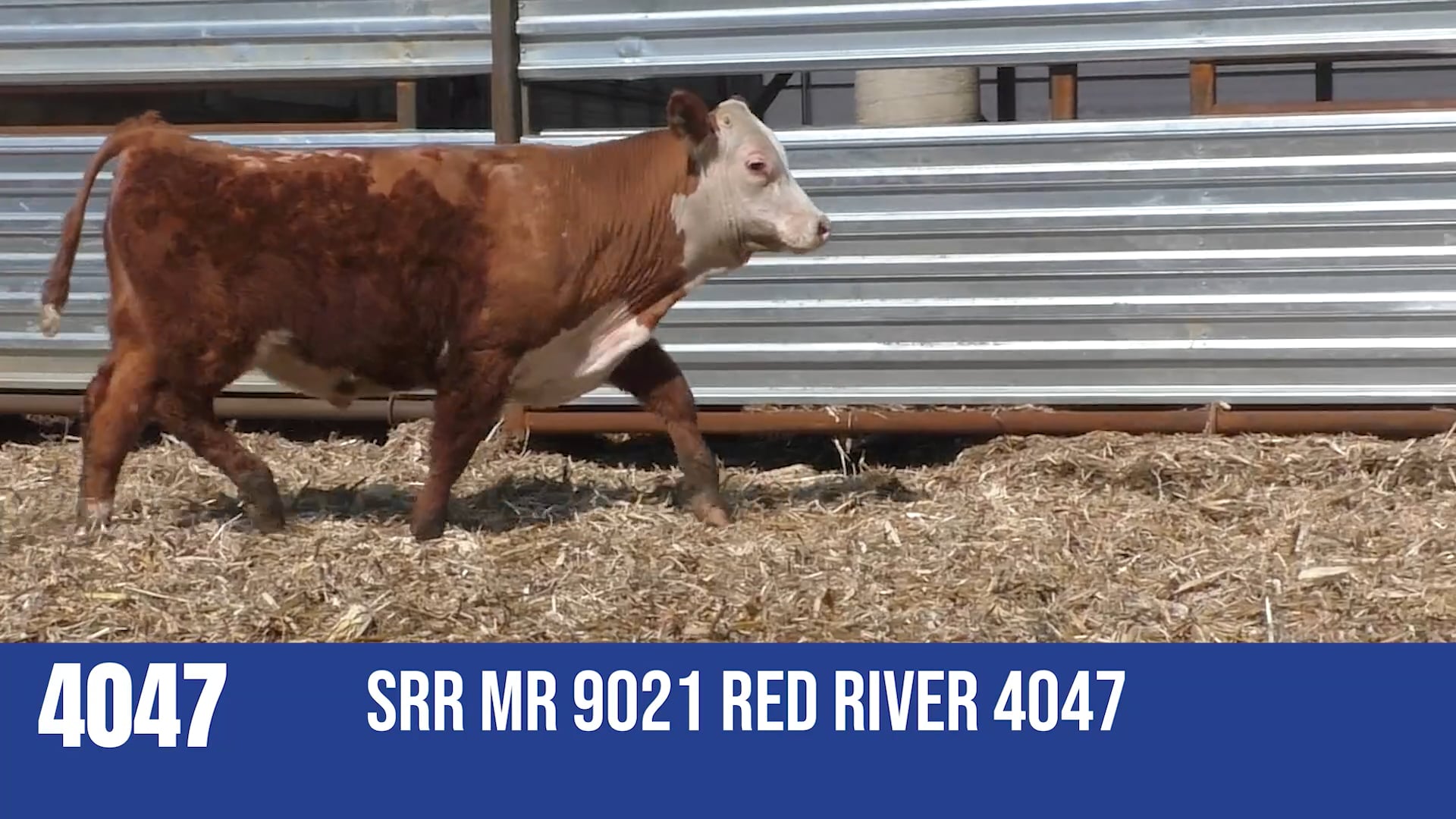 4047M  SRR MR 9021 RED RIVER 4047