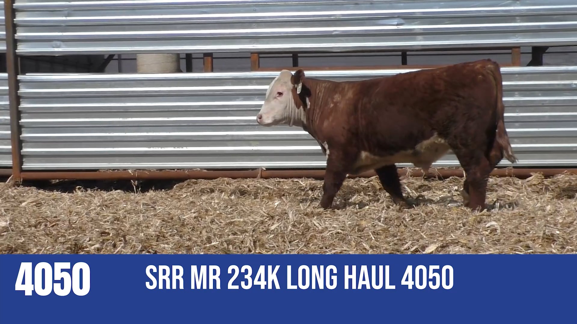 4050  SRR MR 234K LONG HAUL 4050
