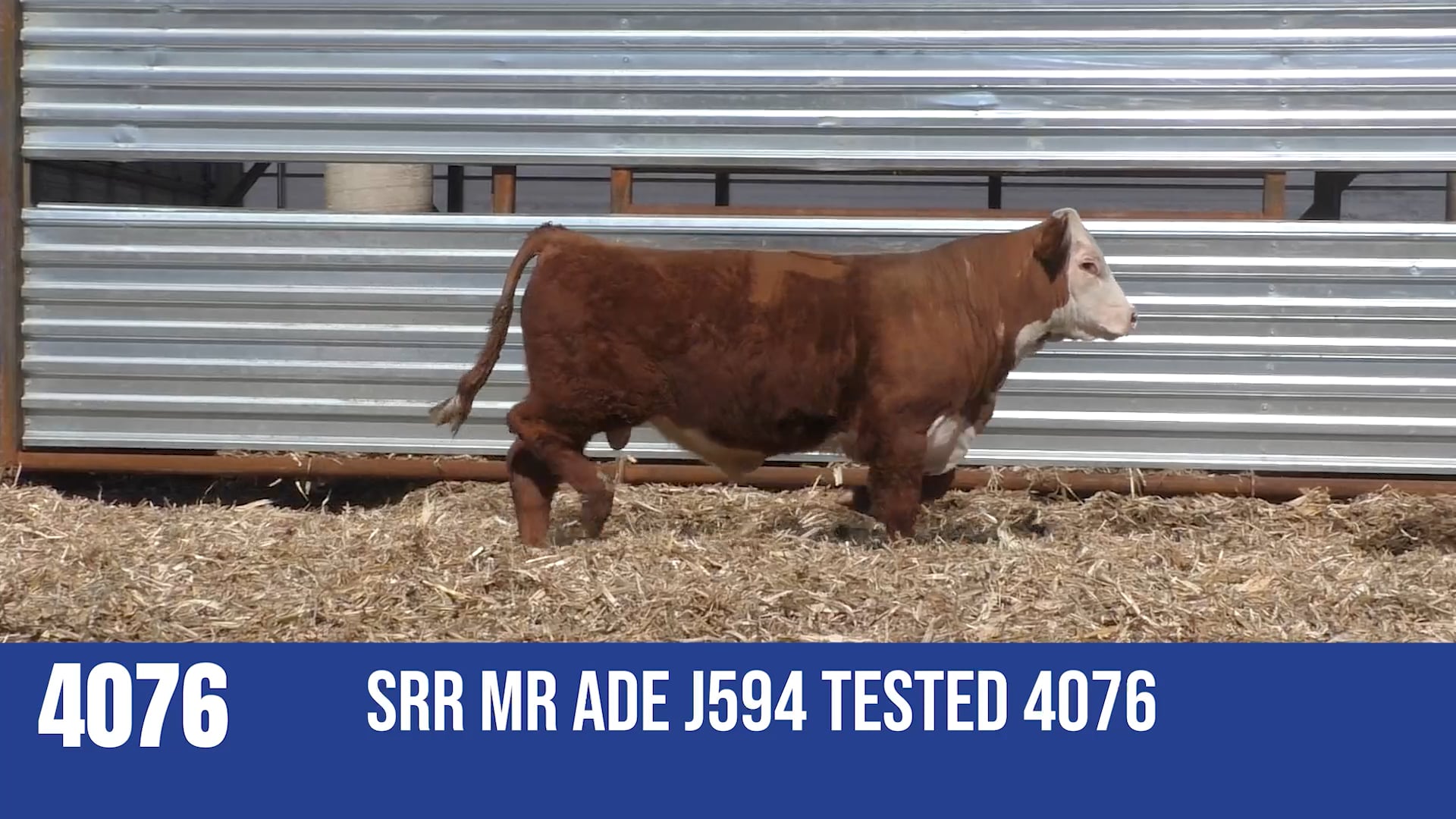 4076 SRR MR ADE J594 TESTED 4076