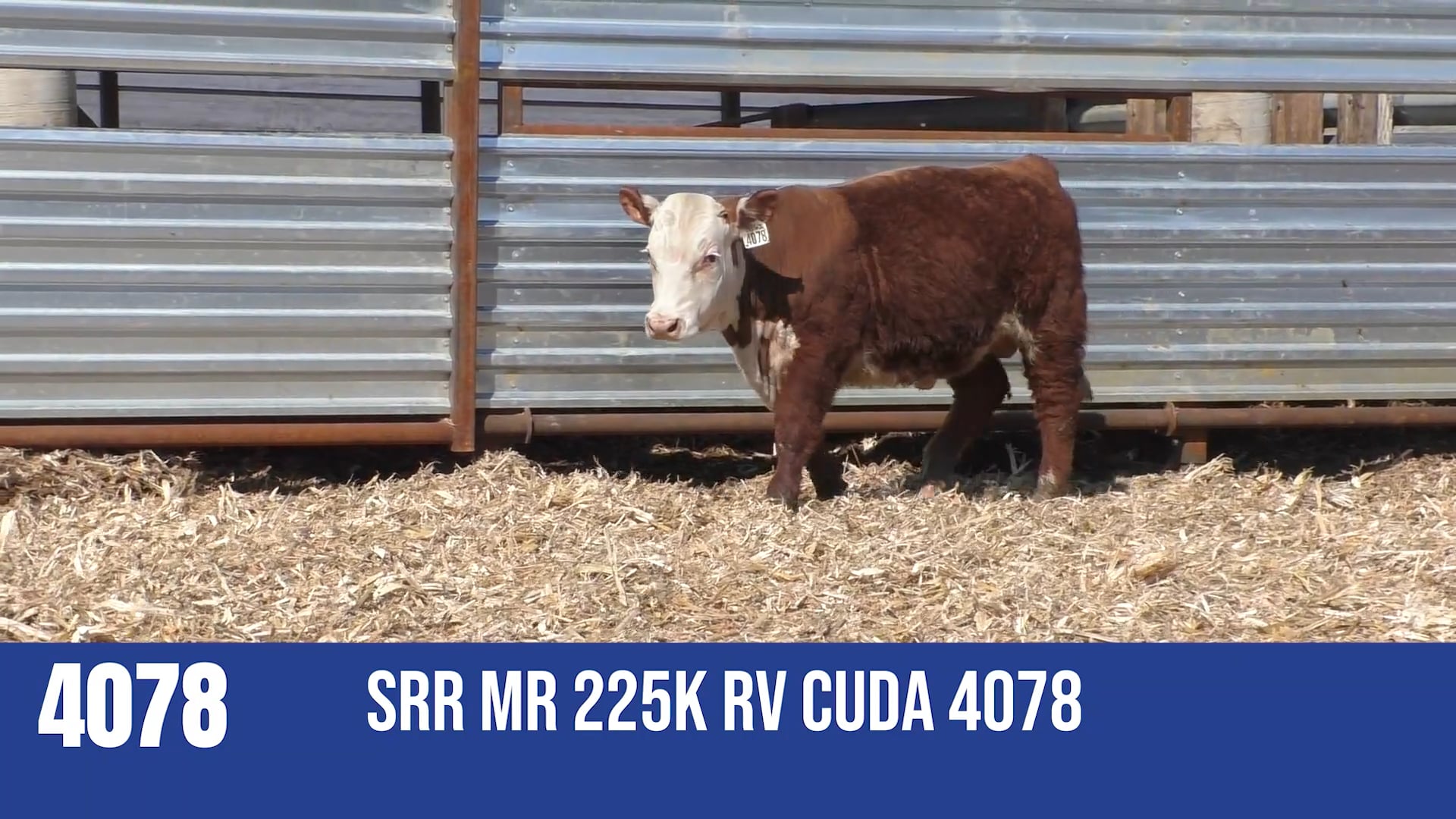 4078 SRR MR 225K RV CUDA 4078