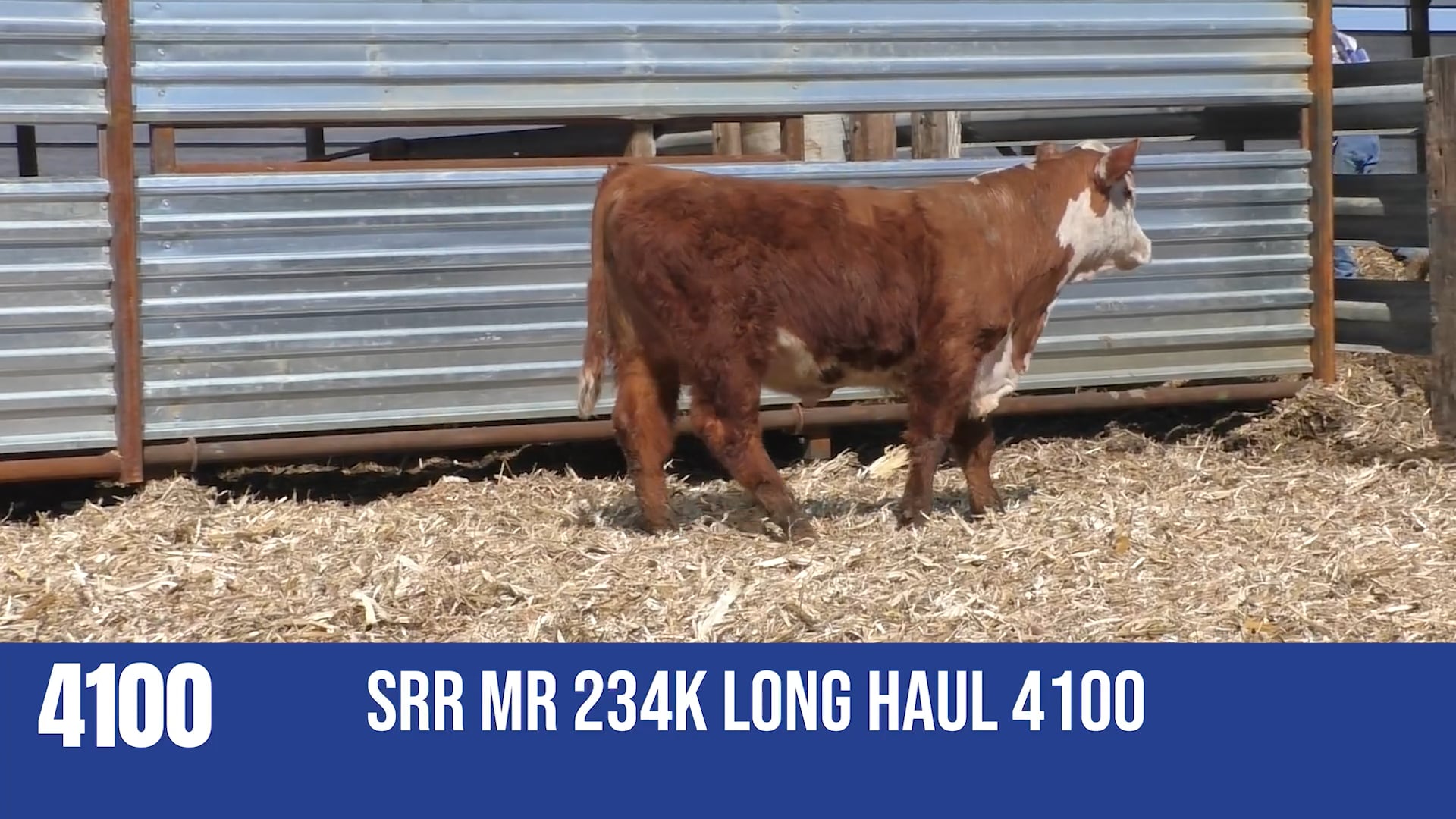 4100  SRR MR 234K LONG HAUL 4100